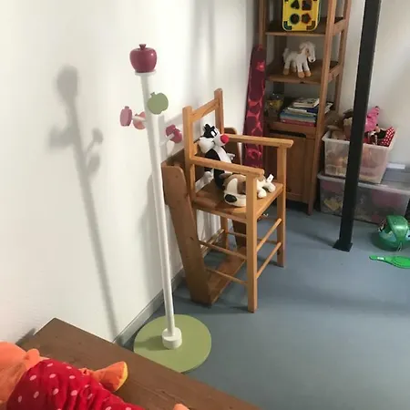 - Le Loft - Avec Jardin à Appartement Toulouse