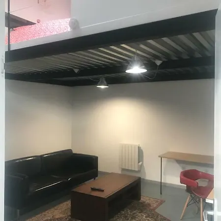 - Le Loft - Avec Jardin à Appartement Toulouse