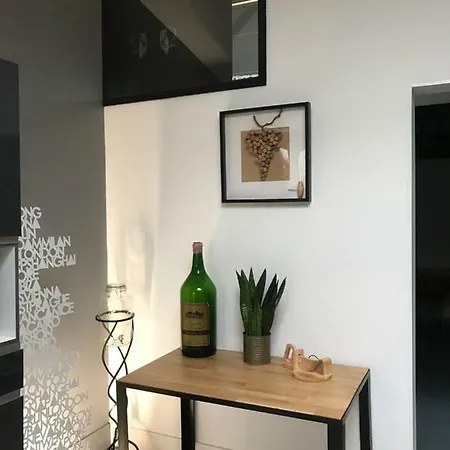 - Le Loft - Avec Jardin à Appartement Toulouse
