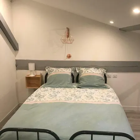 - Le Loft - Avec Jardin A * Toulouse