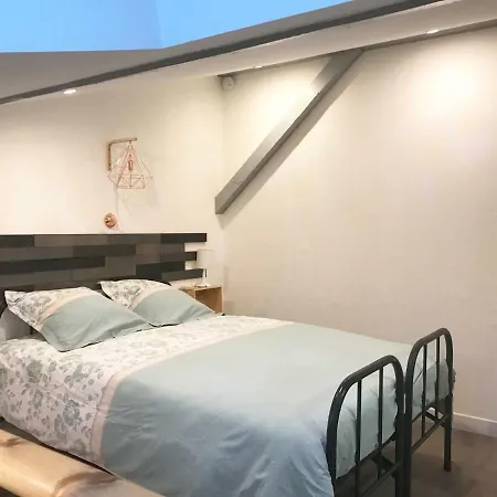 Apartment - Le Loft - Avec Jardin A
