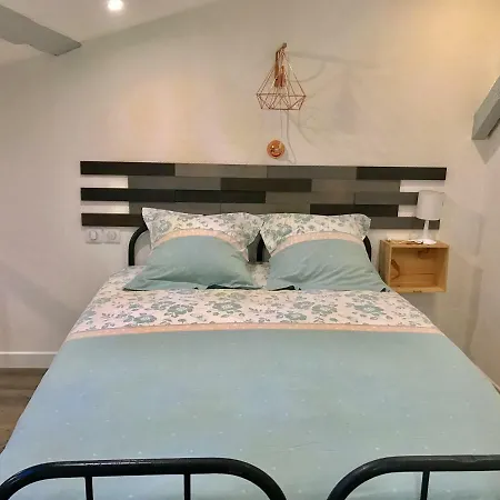 - Le Loft - Avec Jardin à Appartement Toulouse